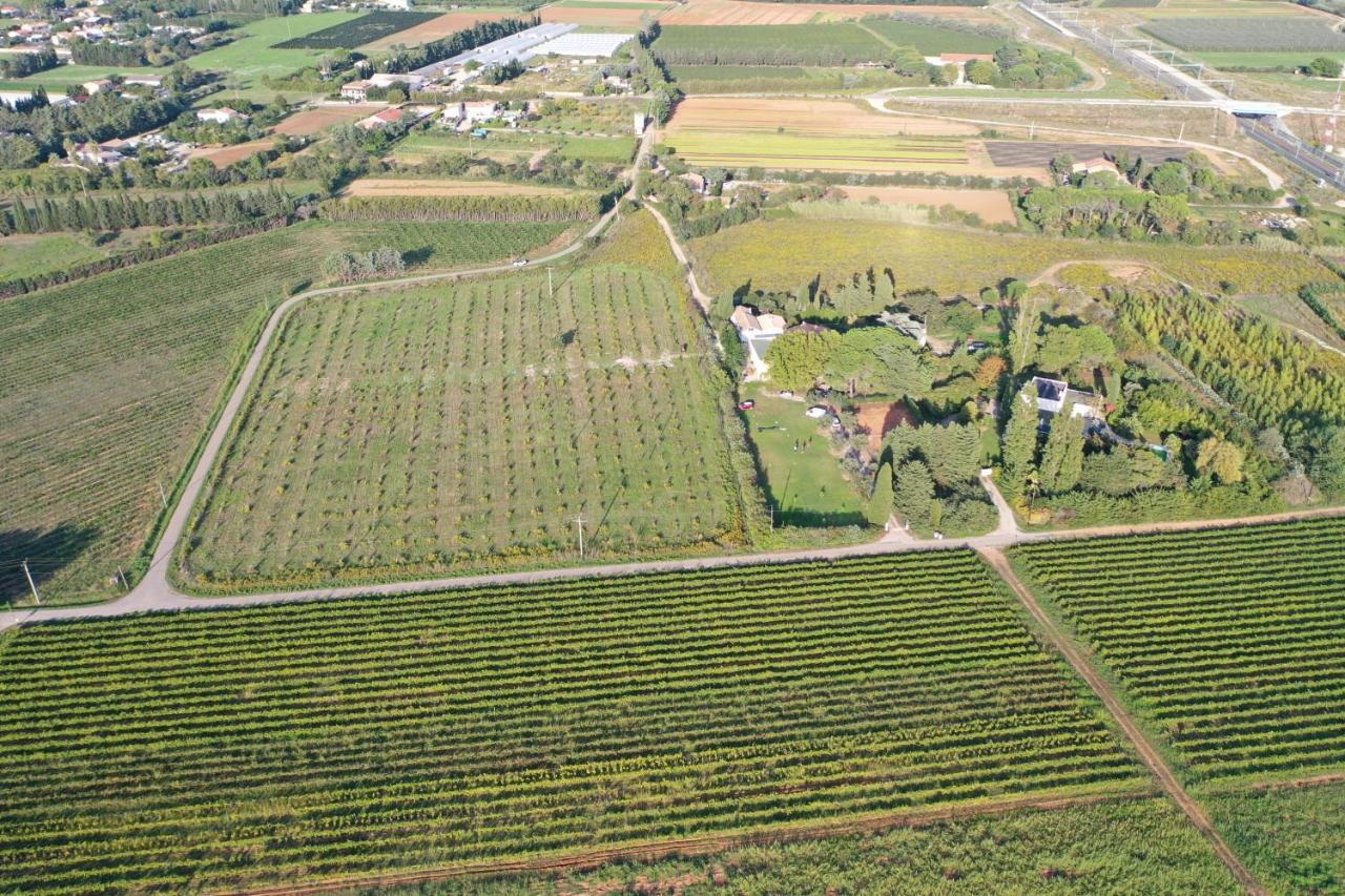 Domaine de la Trinité - 5 min de l'Aéroport - 10 min des plages Saint-Aunes Esterno foto